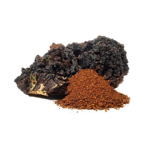 Stay Wyld Organics – Chaga Immunity Boost Mushroom Capsules (Bottle of 60)