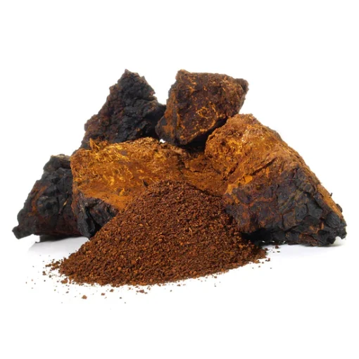 Stay Wyld Organics – Chaga Mushroom Capsules (Bottle of 60)